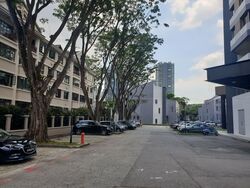 Dunearn Road (D11), Condominium #507201791